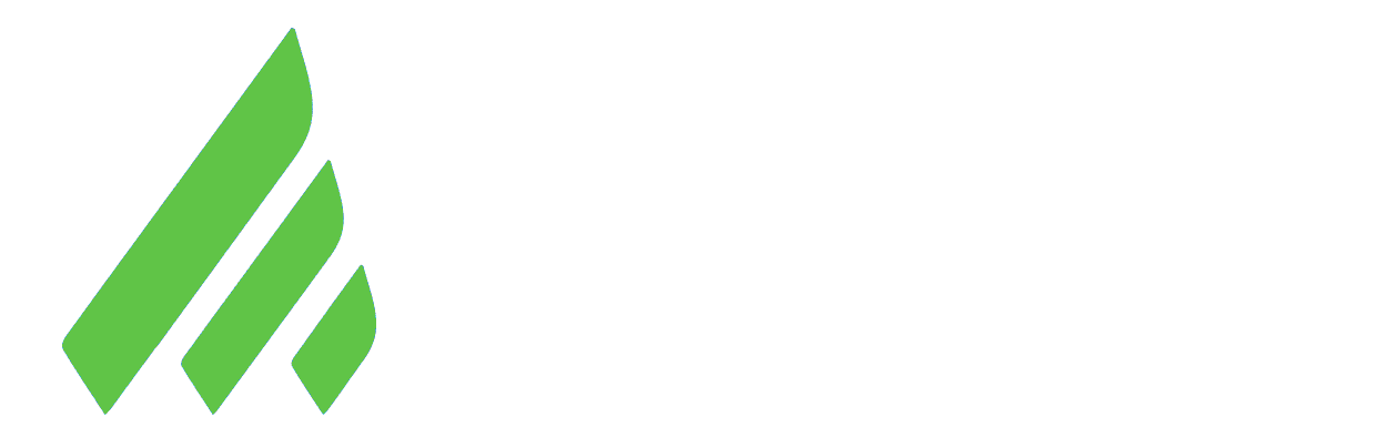 Cleverio Algo Tools Logo